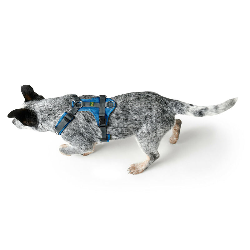 Hundegeschirr Hunter Maldon Up Blau 31-49 cm