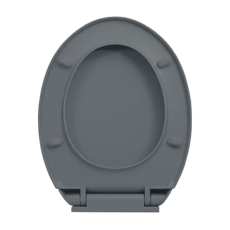 Toilettensitz mit Absenkautomatik Grau Oval