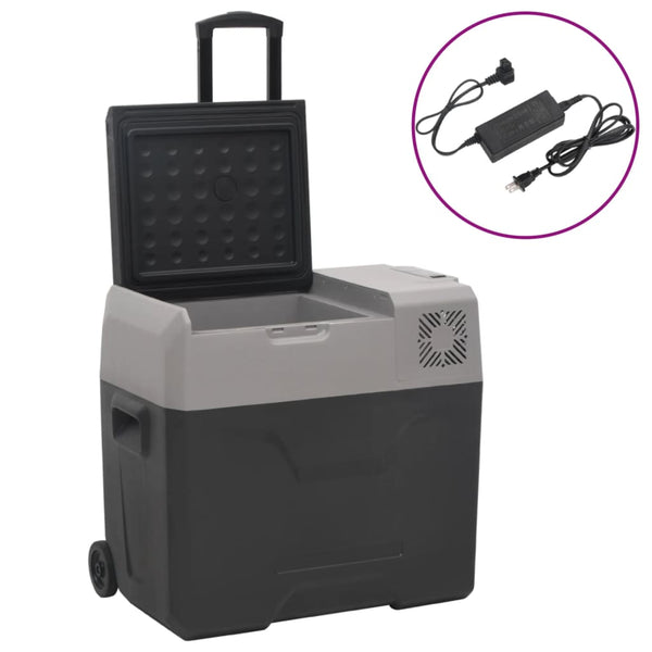 Kühlbox mit Rollen und Adapter Schwarz & Grau 30 L Polypropylen