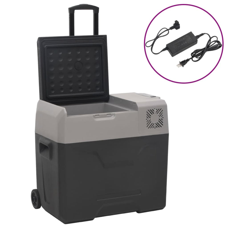 Kühlbox mit Rollen und Adapter Schwarz & Grau 50 L Polypropylen