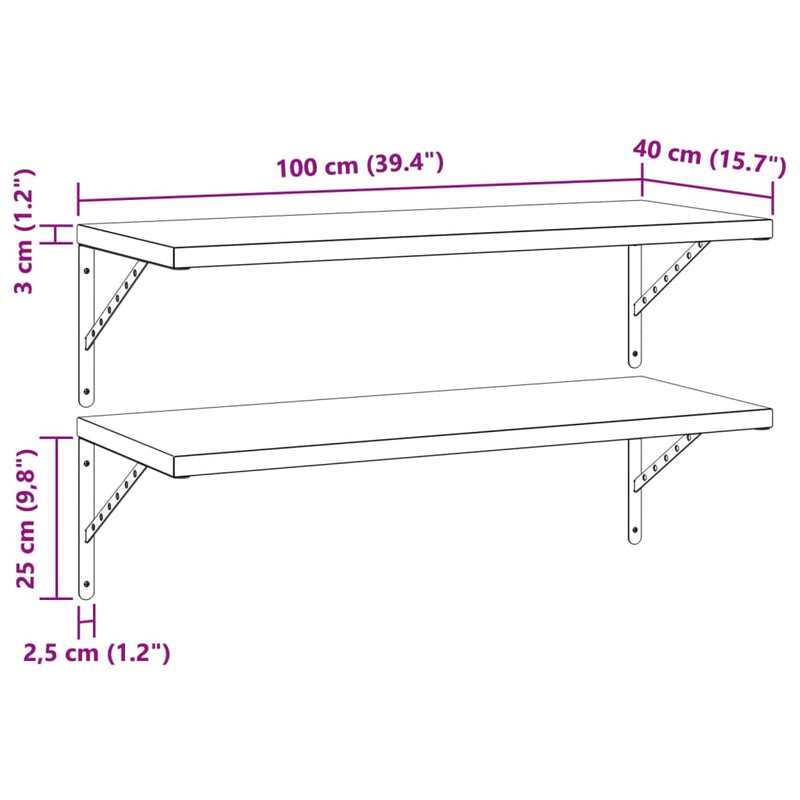 Wandregale 2 Stk. 100x40 cm Silbern Edelstahl