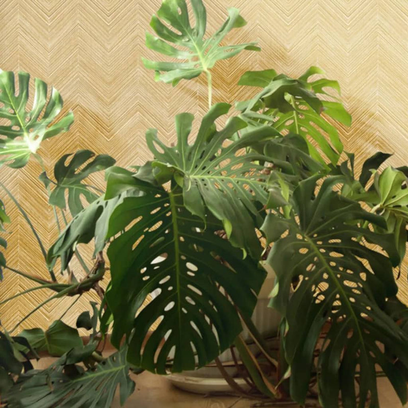 Topchic Tapete Herringbone Beige