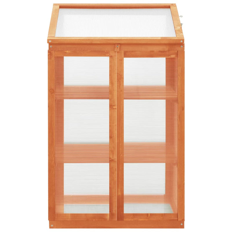 Gewächshaus 60x45x100 cm Tannenholz